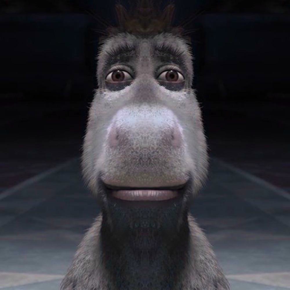 Donkey Staring Template