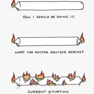 Meme Wall: Browse Thousands of Daily Fresh Memes