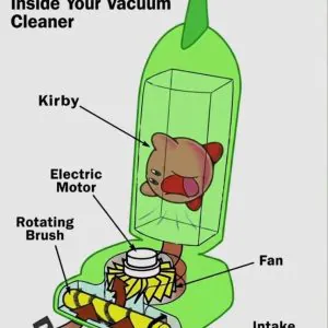 Meme Wall: Browse Thousands of Daily Fresh Memes