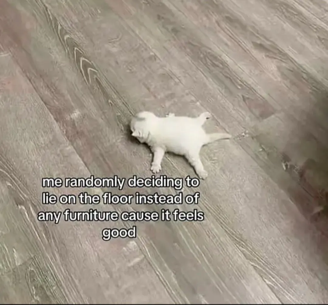 Me randomly deciding to lie on the floor instead of any furniture cause it feels good