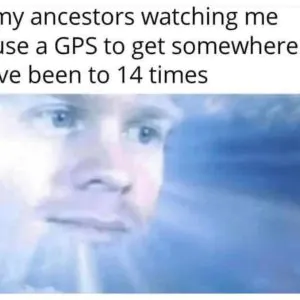 Meme Wall: Browse Thousands of Daily Fresh Memes