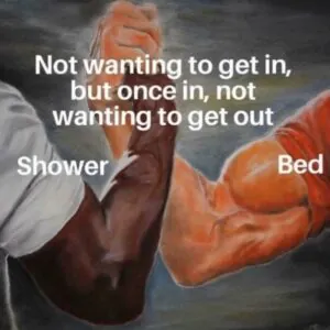 Meme Wall: Browse Thousands of Daily Fresh Memes