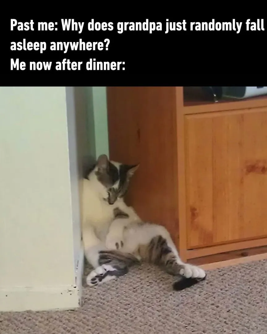 Past me vs me now after dinner