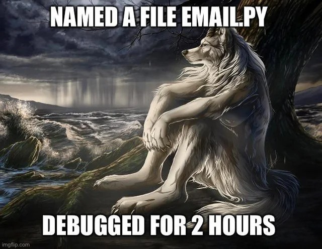 Sitting Wolf: Named A File Email.py Debugged For 2 Hours Meme Sitting Wolf: Named A File Email.py Debugged For 2 Hours Meme