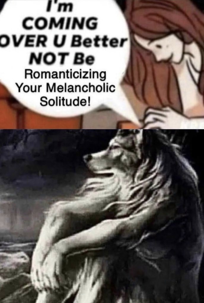 Sitting Wolf: "Don't Romanticize Your Melancholic Solitude" Wolf Meme Sitting Wolf: "Don't Romanticize Your Melancholic Solitude" Wolf Meme