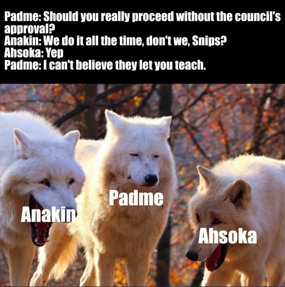 Laughing Wolves: Anakin & Ahsoka Ignore Council, Padme Reacts
