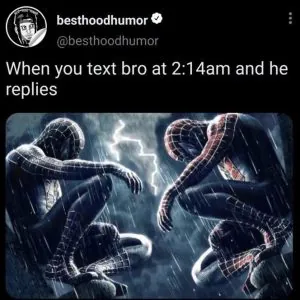 Meme Wall: Browse Thousands of Daily Fresh Memes