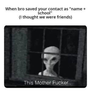 Meme Wall: Browse Thousands of Daily Fresh Memes