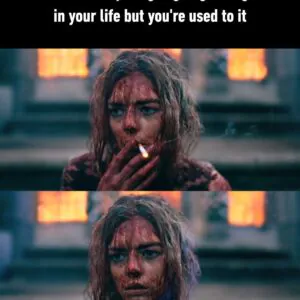 Meme Wall: Browse Thousands of Daily Fresh Memes