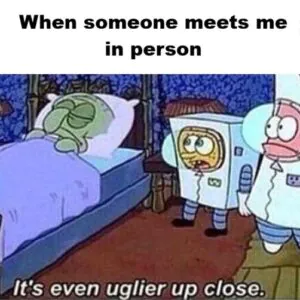 Meme Wall: Browse Thousands of Daily Fresh Memes