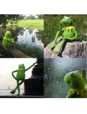 kermit waiting Meme Template