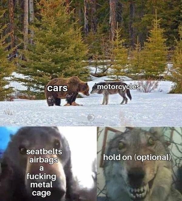 Cars Vs Motorcycles Bear Wolf Meme