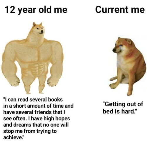 Buff vs sad doge meme about childhood dreams vs current reality