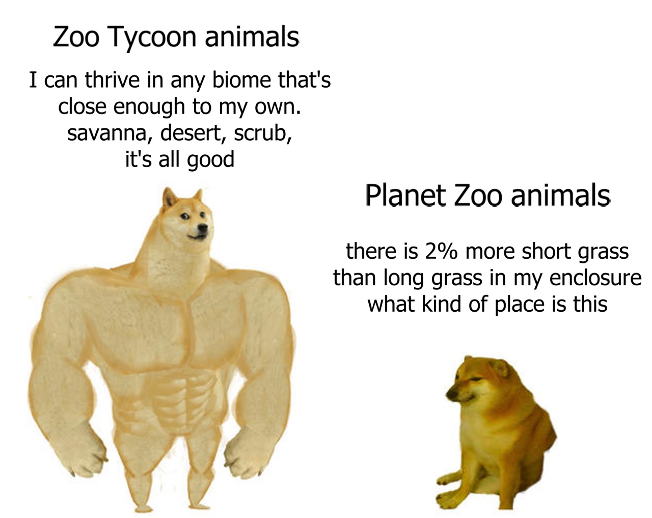 Buff vs sad doge meme about zoo game animal requirements difference