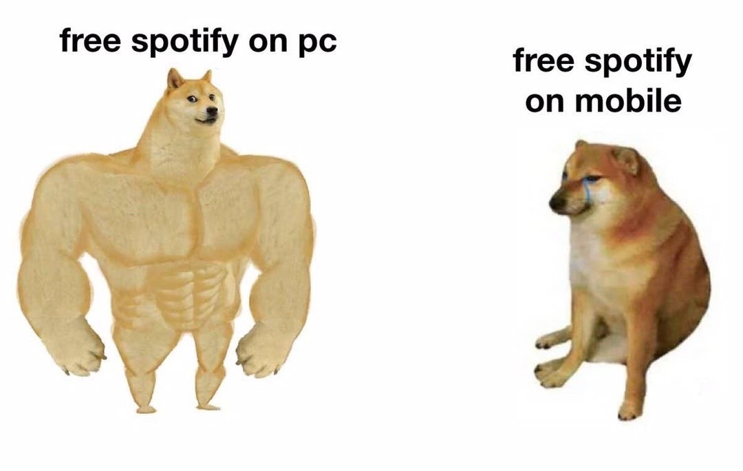 Buff doge meme about better free spotify experience on pc