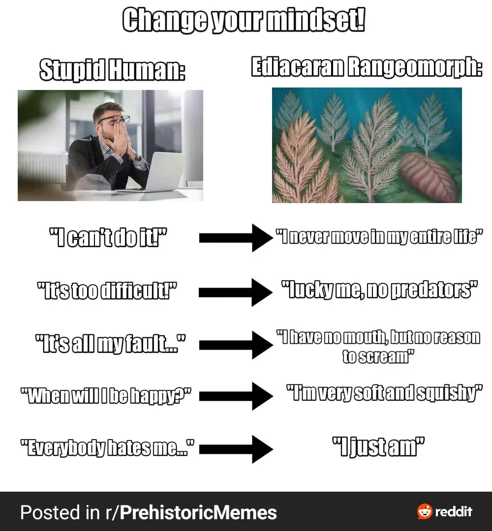 Change Your Mindset Ediacaran Rangeomorph Meme | Prehistoric Life Humor