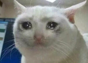 Crying Cat Meme Template