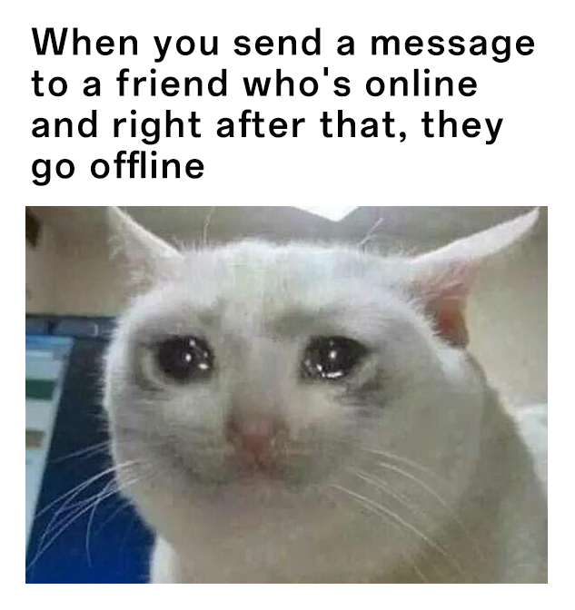 Crying Cat: Funny cat meme about being left on read Crying Cat: Funny cat meme about being left on read