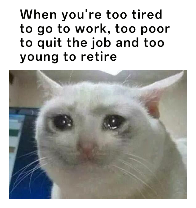 Crying Cat meme about dead end job situation Crying Cat meme about dead end job situation