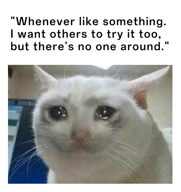 Crying Cat meme about having no one to try things with Crying Cat meme about having no one to try things with