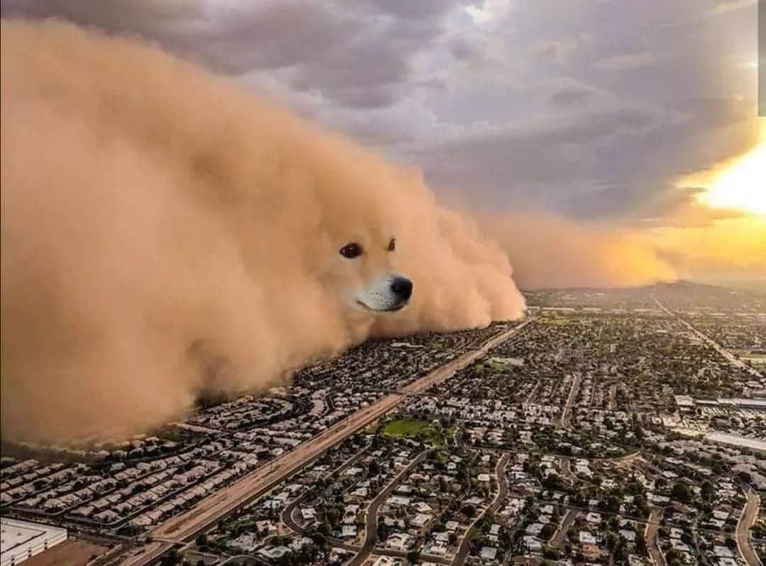 Dust Storm Dog Meme Template