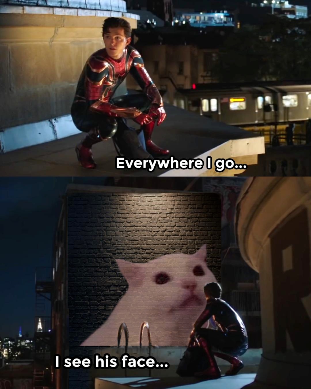 Spider-Man Meme: Everywhere I Go I See The Confused White Cat Meme