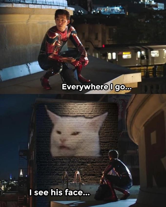 Spider-Man Meme: Everywhere I Go I See The Confused Cat Meme