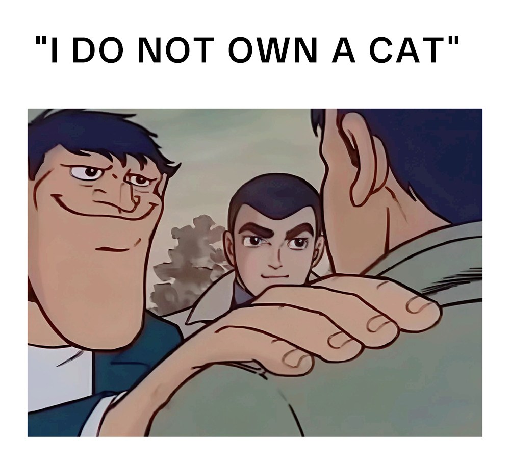 Hand on shoulder meme judging people who deny having cats