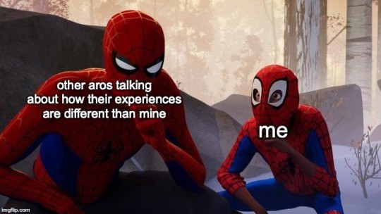 Learning From Spiderman Meme About Aro Identity Experiences