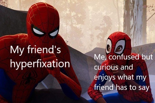 Learning From Spiderman Meme Showing Support For Friend's Hyperfixation