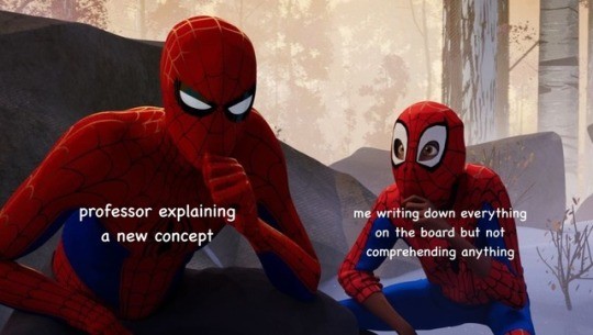 Learning From Spiderman Meme About Failing To Comprehend New Academic Concepts