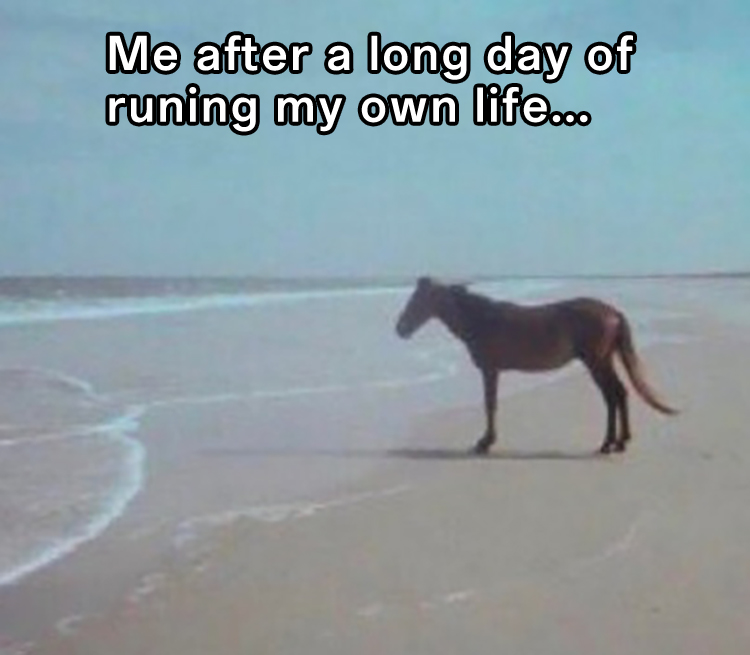 Man Horse Water: Relatable Tired Horse Meme About Life Failures