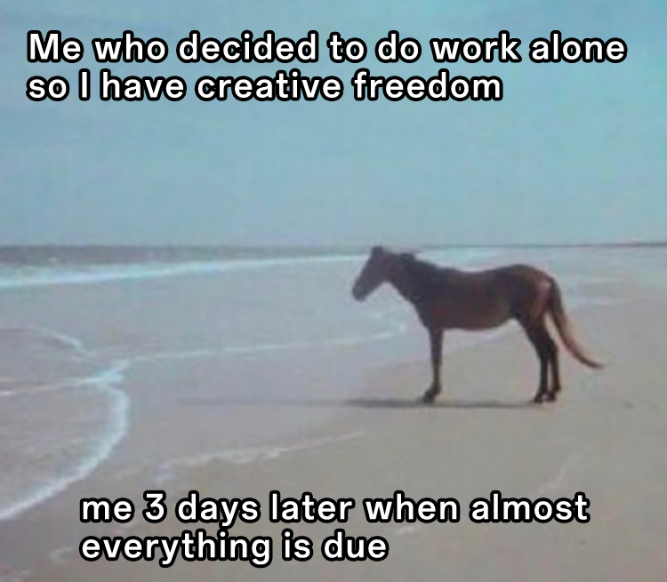 Man Horse Water: Last Minute Work Meme With Beach Horse