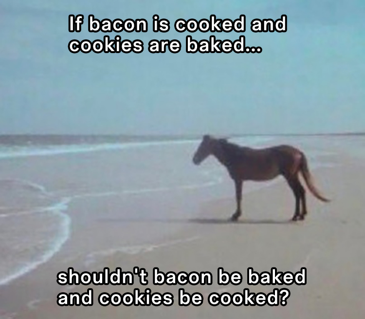 Man Horse Water: Humorous Question About Baking Bacon And Cooking Cookies