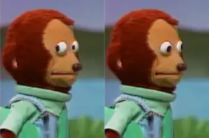 Monkey Puppet Meme Template