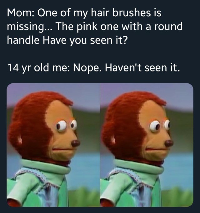 Monkey Puppet: Teen lying to mom about missing hairbrush monkey meme