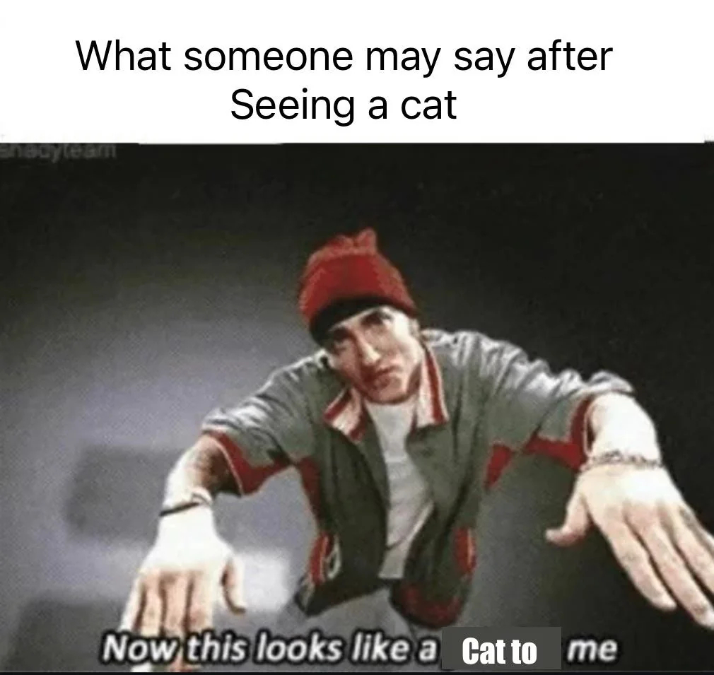 Now This Looks Like a Job For Me: Eminem meme for cat enthusiasts Now This Looks Like a Job For Me: Eminem meme for cat enthusiasts