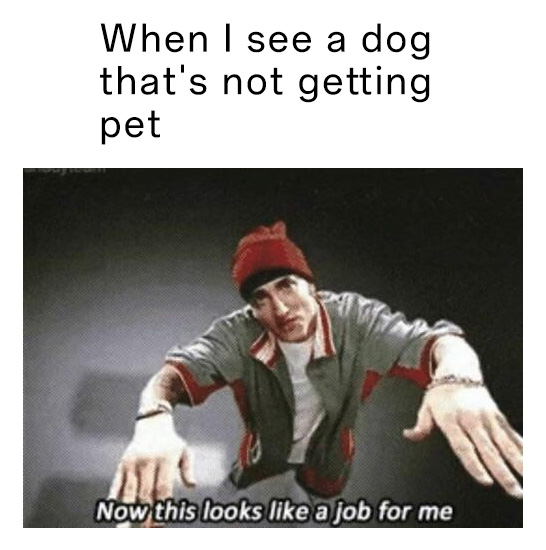 Now This Looks Like a Job For Me: Eminem meme for dog lovers who love petting pups Now This Looks Like a Job For Me: Eminem meme for dog lovers who love petting pups