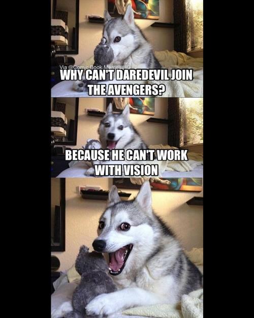 Pun dog meme telling a Daredevil Avengers vision pun joke