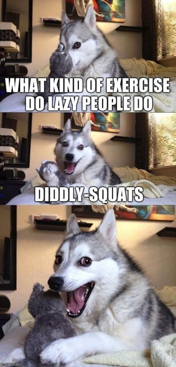 Pun dog meme with a silly diddly-squats lazy workout joke