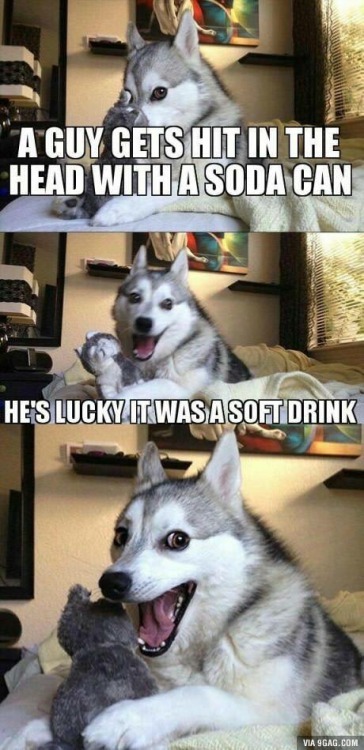 Pun dog meme delivering a silly soda can injury pun joke