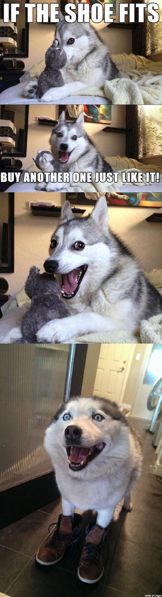 Pun dog meme about buying shoes with a silly punchline reaction