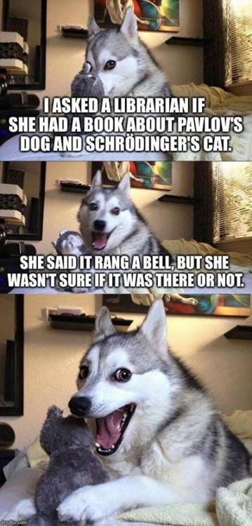 Pun dog meme about library pun joke with science references