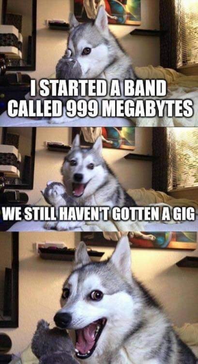 Pun dog meme telling a 999 megabytes gig pun joke