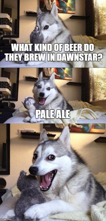 Pun dog meme telling a Skyrim Dawnstar beer pun joke