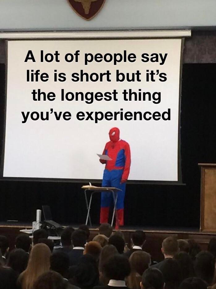 Spider-Man presentation meme about life being the longest experience