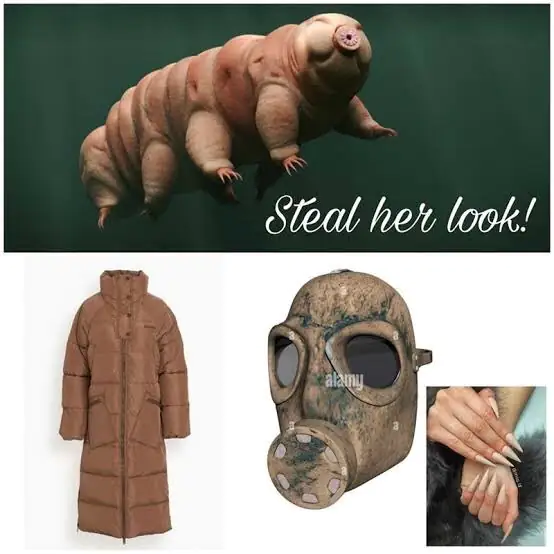 Steal Her Look Tardigrade Meme Funny Water Bear Outfit