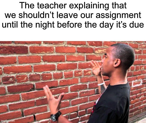 Talking To A Brick Wall: Funny student procrastination meme about homework