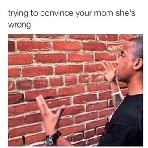 Talking To A Brick Wall: Meme about trying to reason with your mother