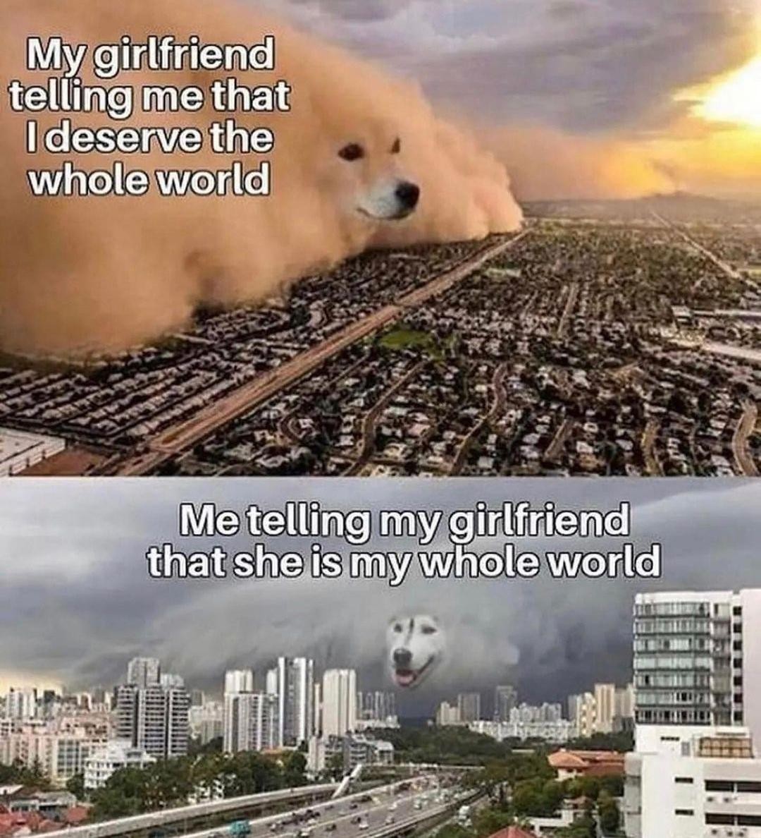 Dust Storm Dog: Girlfriend Says You Deserve The World Cute Dog Meme